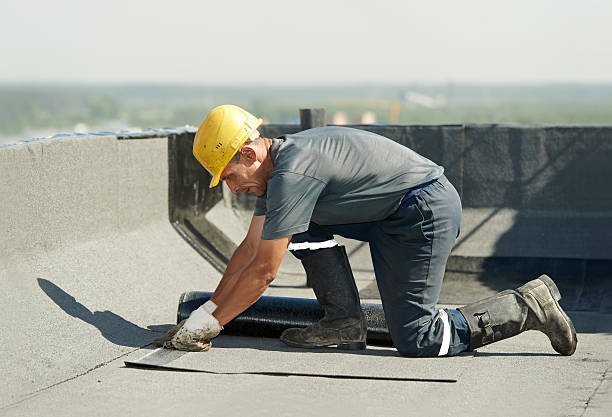 Best Geographic-Specific Insulation Services in Tomball, TX