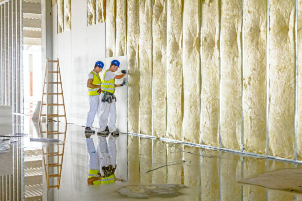 Best Blown-in Insulation in Tomball, TX